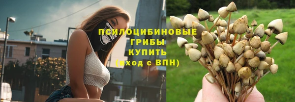 спиды Алексин