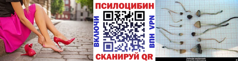 Псилоцибиновые грибы прущие грибы  купить наркотик  Пустошка 